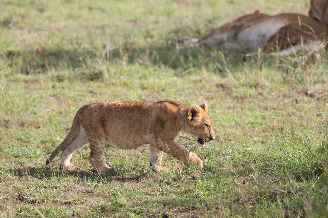 Our Mission in Action