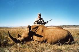 Cheetah in the grasslands